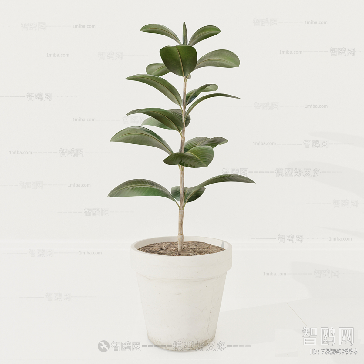 Modern Ground Green Plant Potted Plants