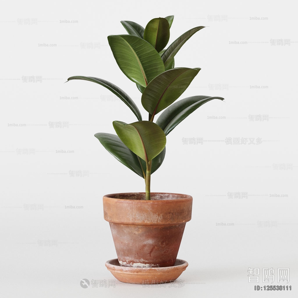 Modern Ground Green Plant Potted Plants