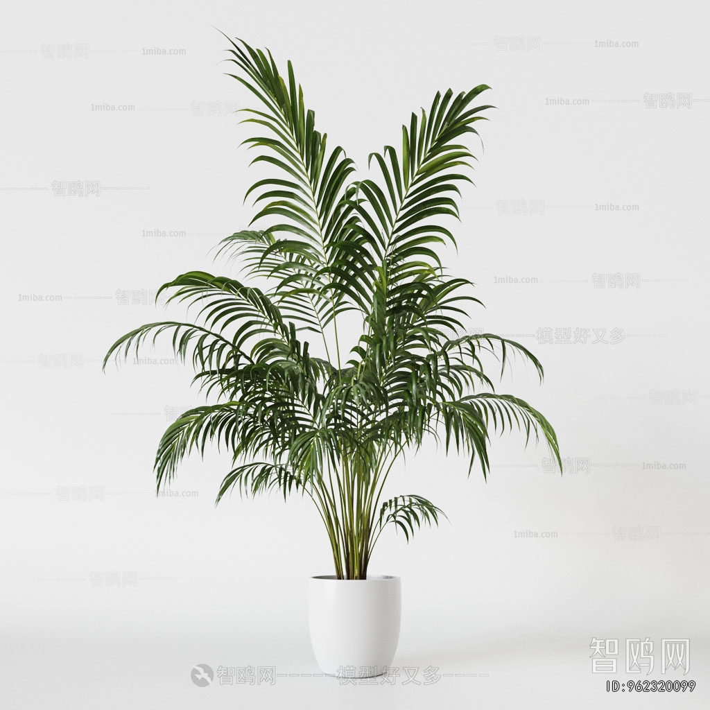 Modern Ground Green Plant Potted Plants