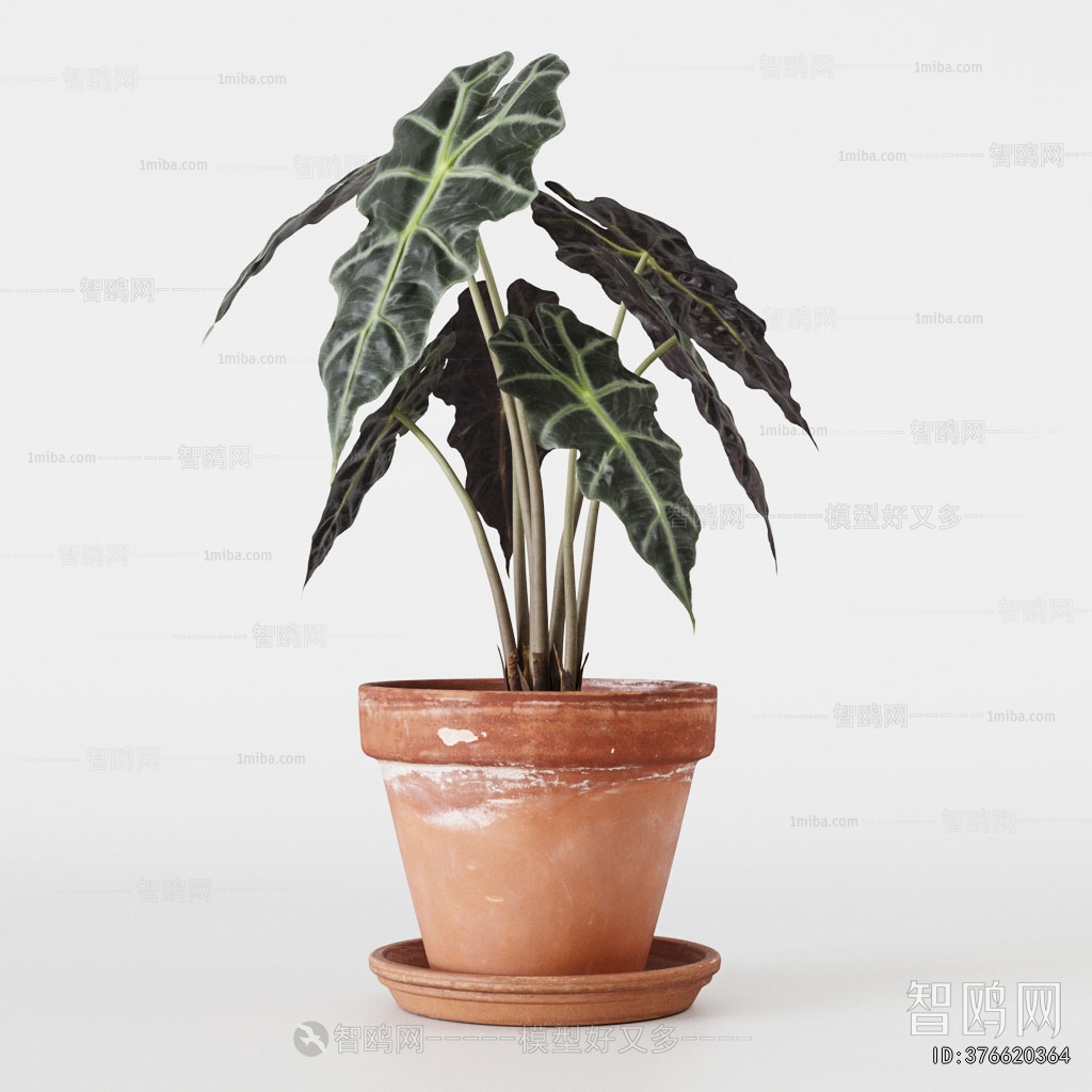 Modern Ground Green Plant Potted Plants