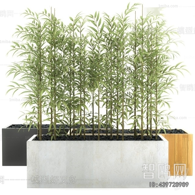 Modern Ground Green Plant Potted Plants
