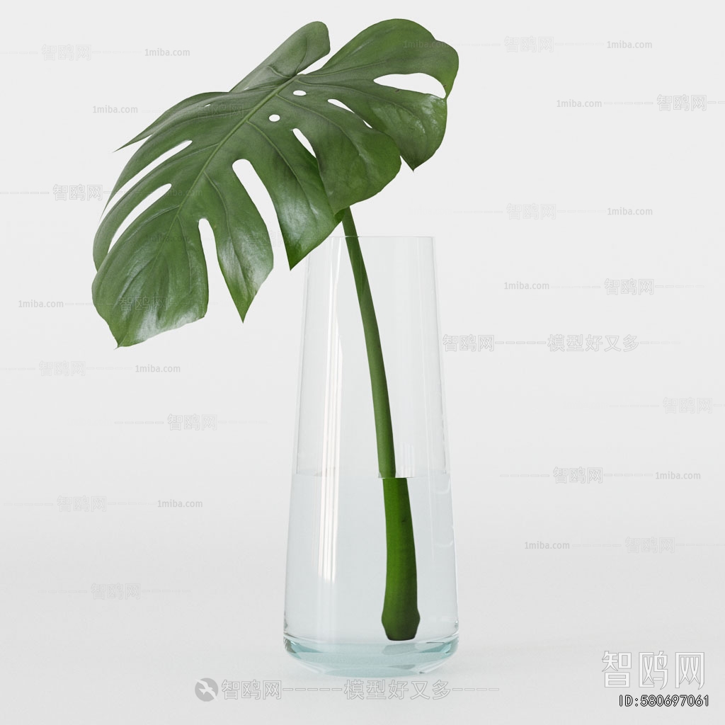 Modern Aquatic Green Plant