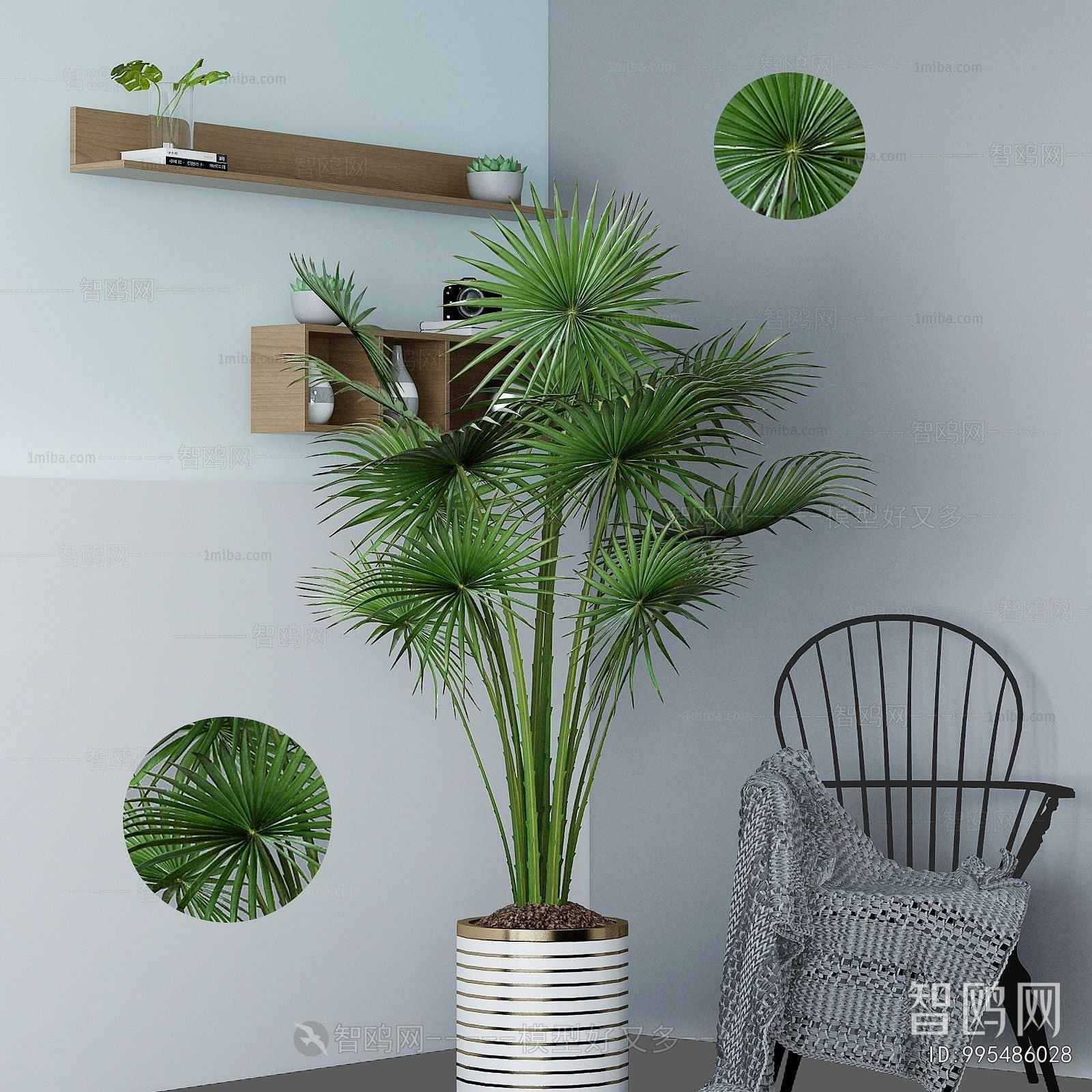 Modern Ground Green Plant Potted Plants