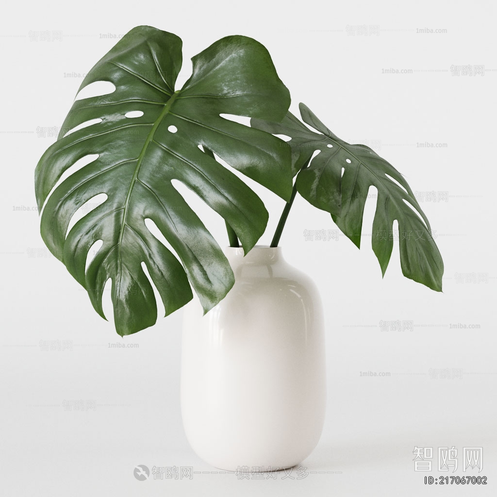 Modern Aquatic Green Plant