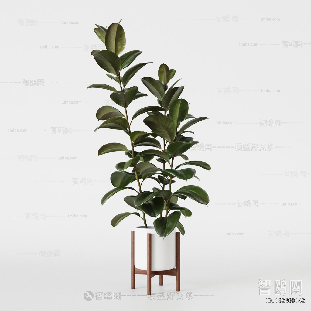 Modern Ground Green Plant Potted Plants