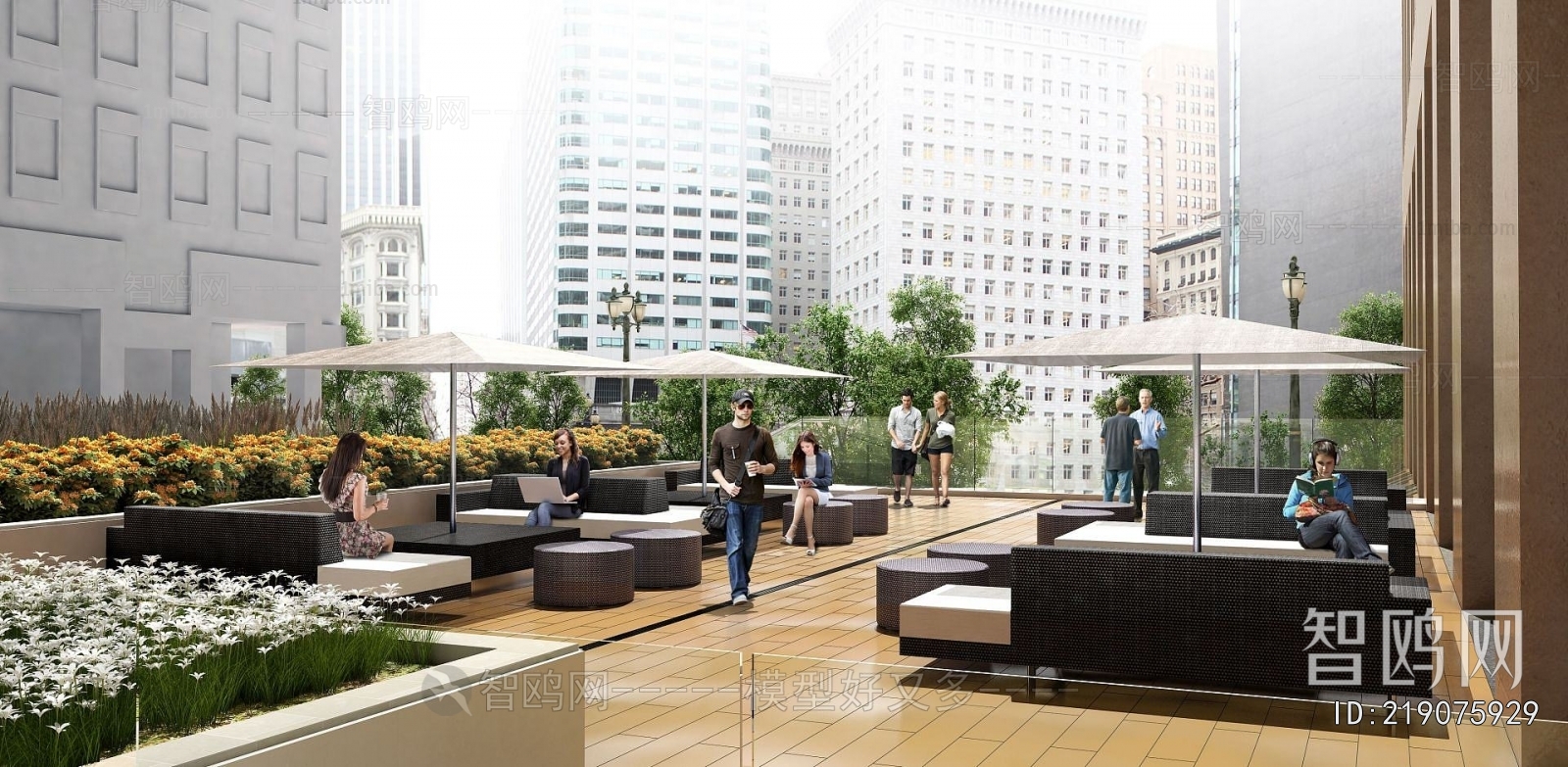 Modern Courtyard/landscape