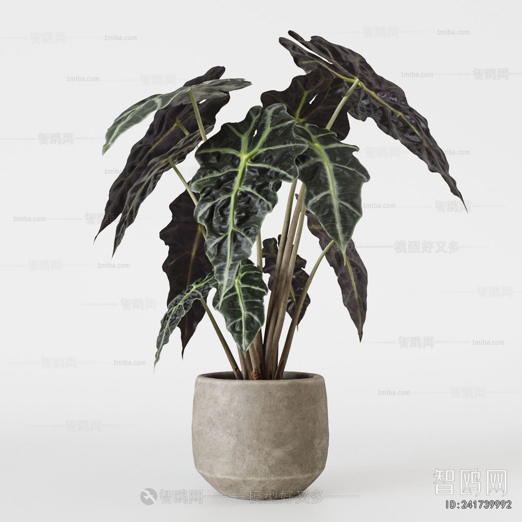 Modern Ground Green Plant Potted Plants