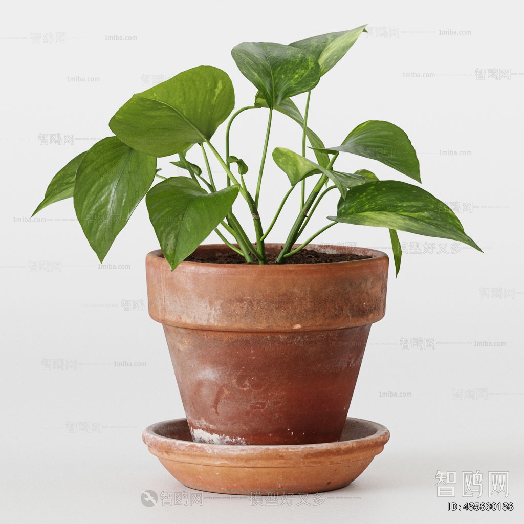 Modern Potted Green Plant