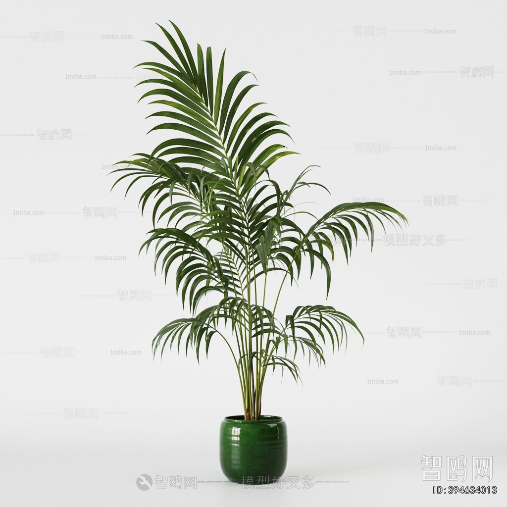 Modern Ground Green Plant Potted Plants