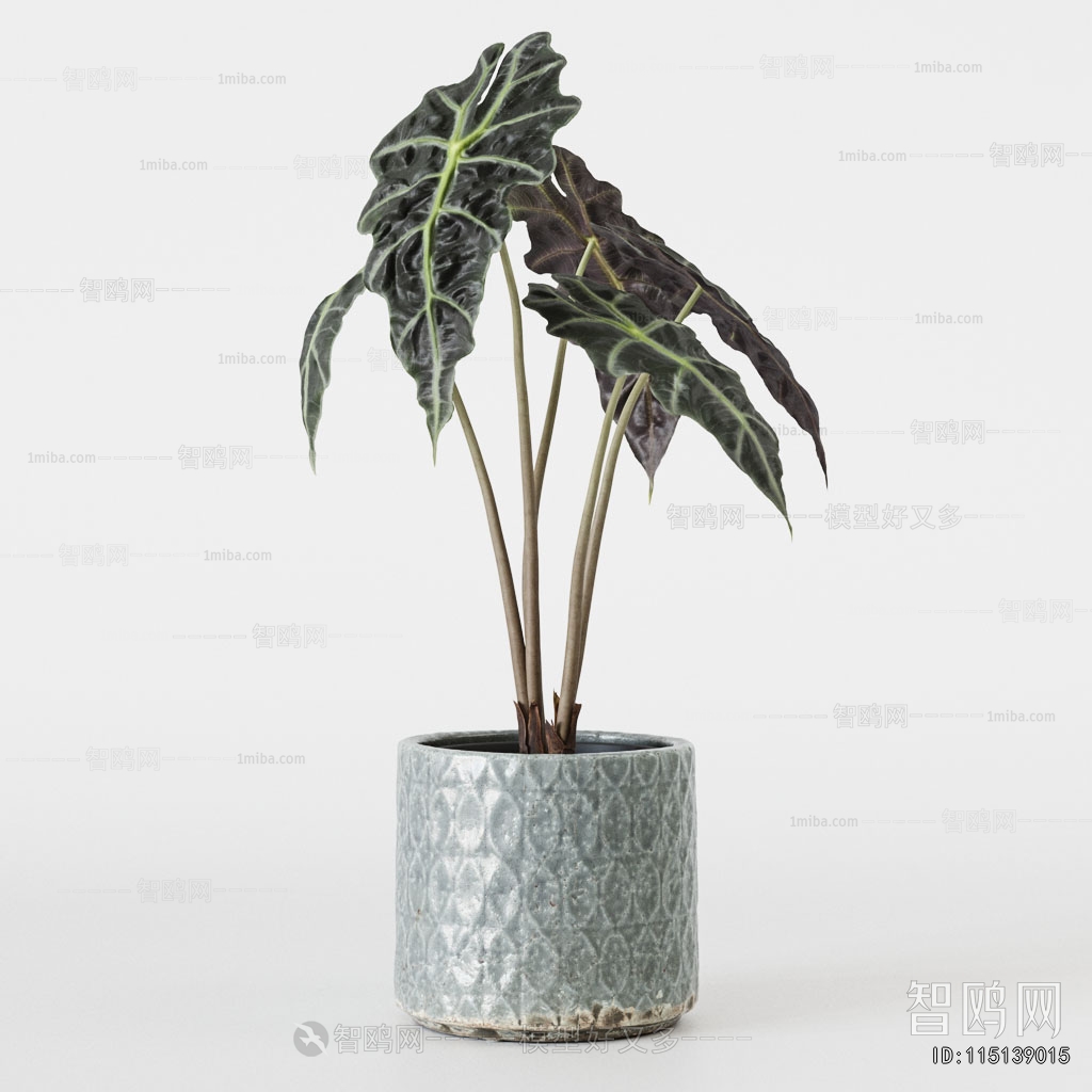 Modern Ground Green Plant Potted Plants