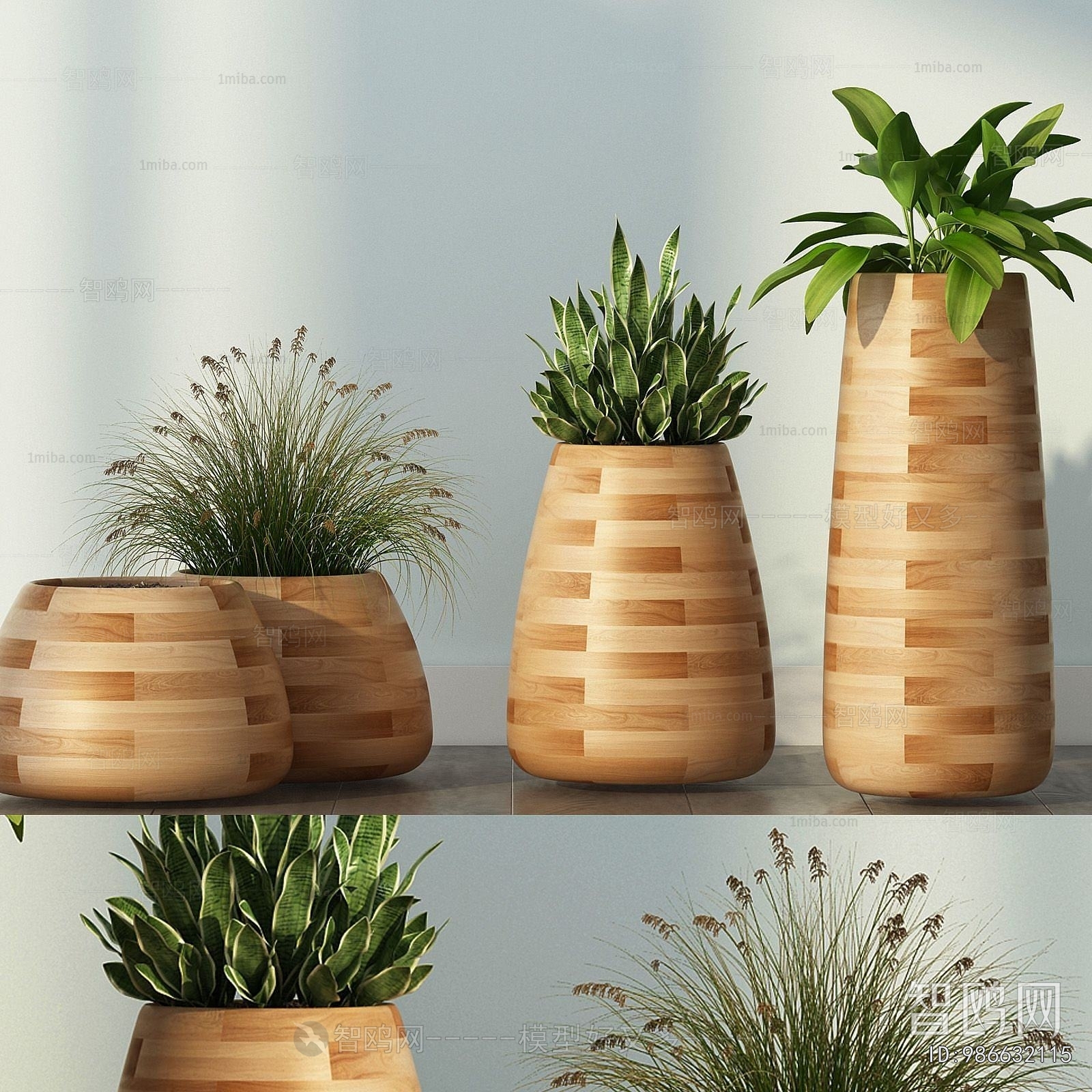 Modern Potted Green Plant