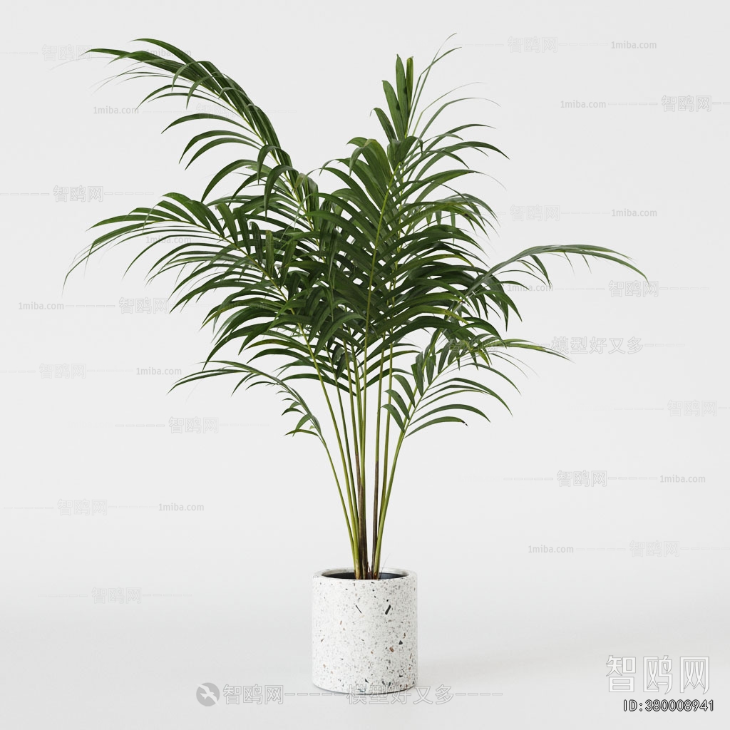 Modern Ground Green Plant Potted Plants