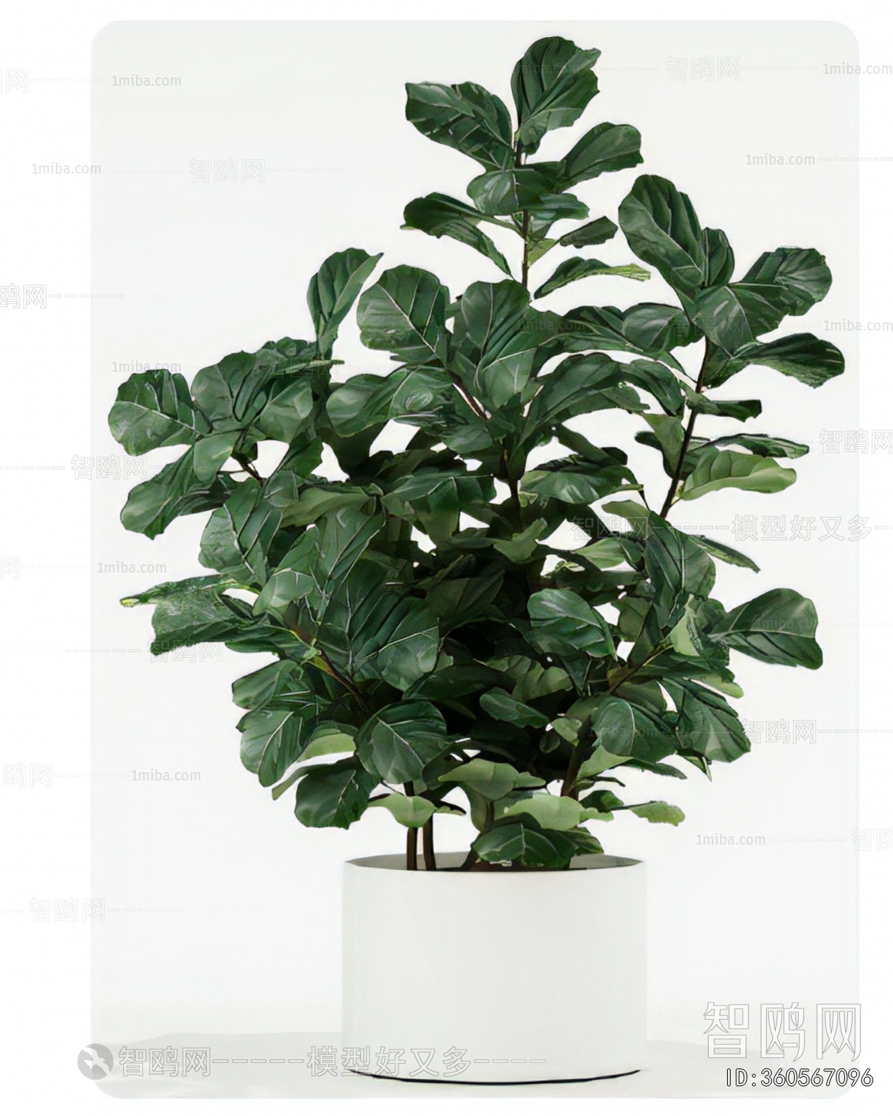 Modern Desktop Plant