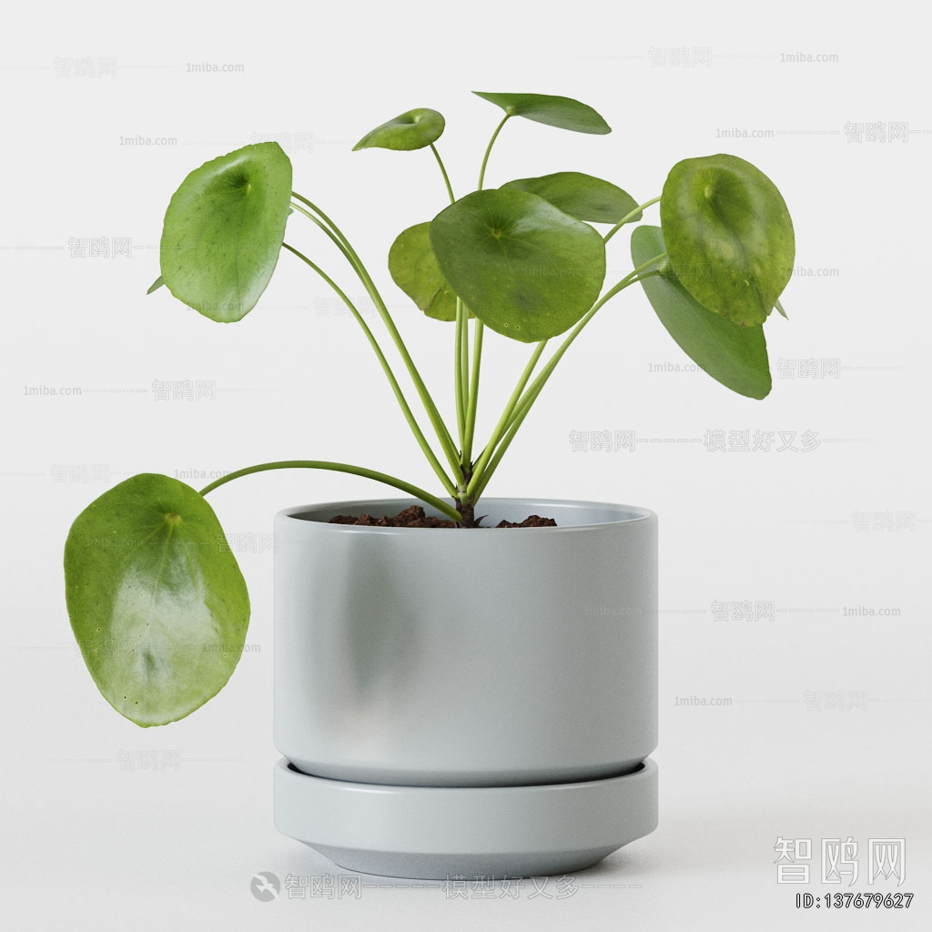 Modern Potted Green Plant