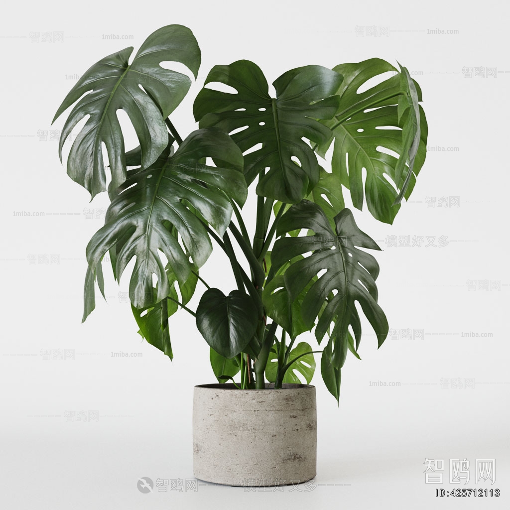 Modern Ground Green Plant Potted Plants