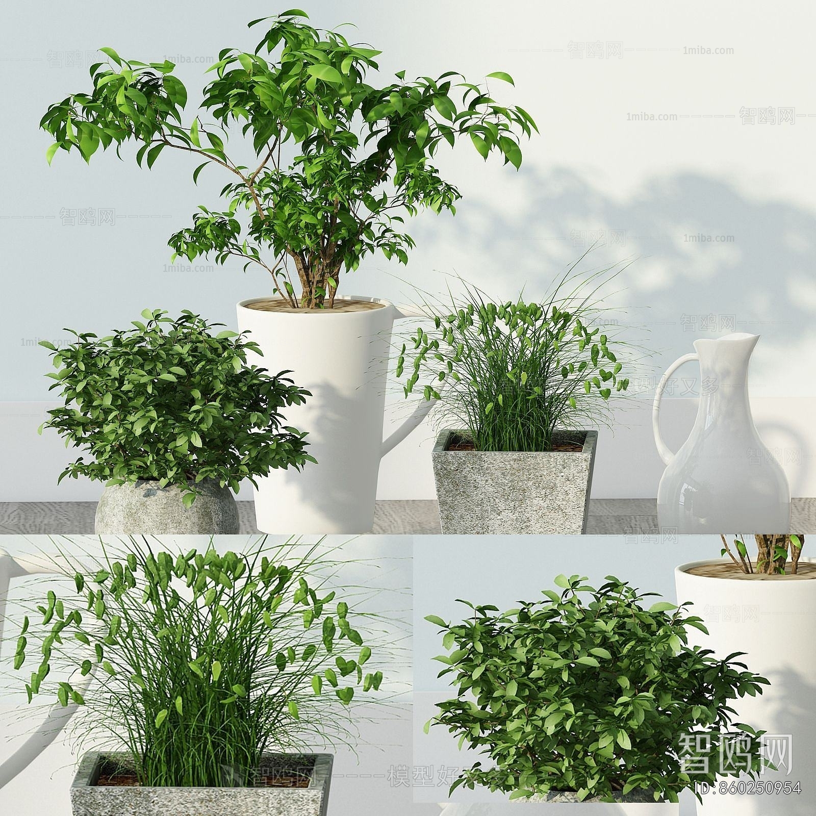 Modern Potted Green Plant