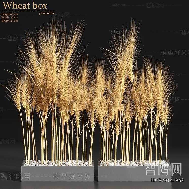 Modern Flower Bed, Flower Bowl, Flower Box