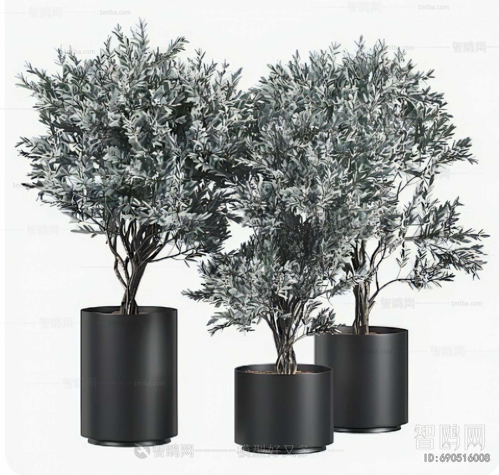 Modern Ground Green Plant Potted Plants