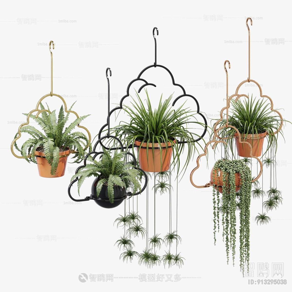 Modern Chlorophytum Comosum