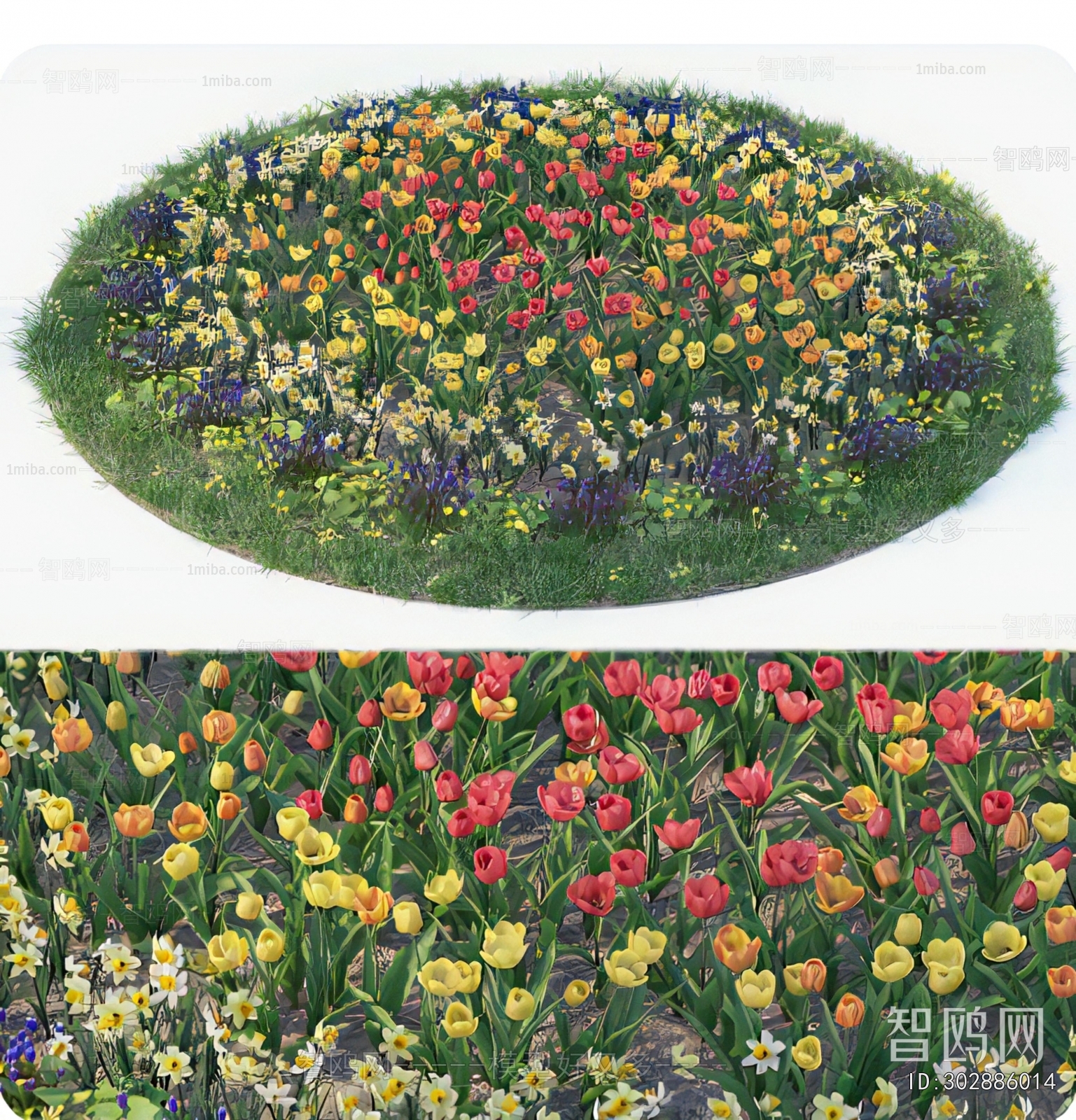 Modern Flowers And Grass