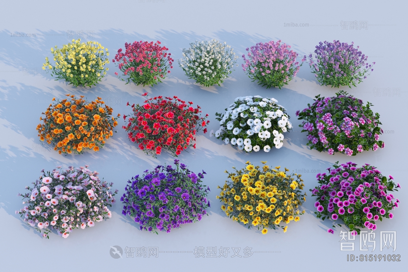 Modern Flowers And Grass