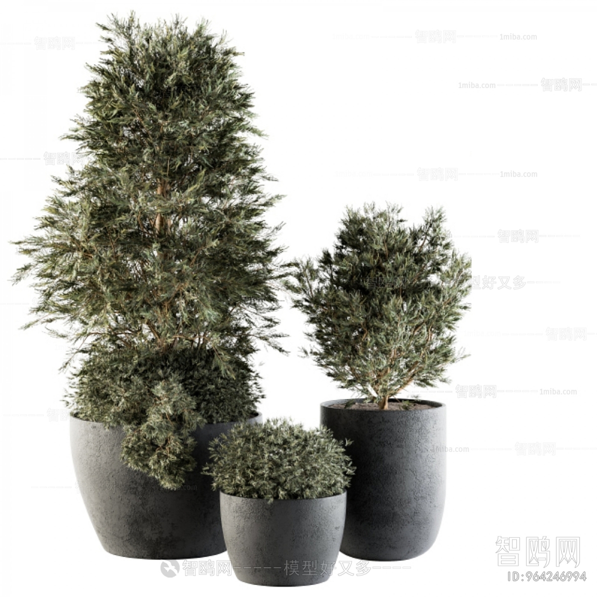 Modern Ground Green Plant Potted Plants