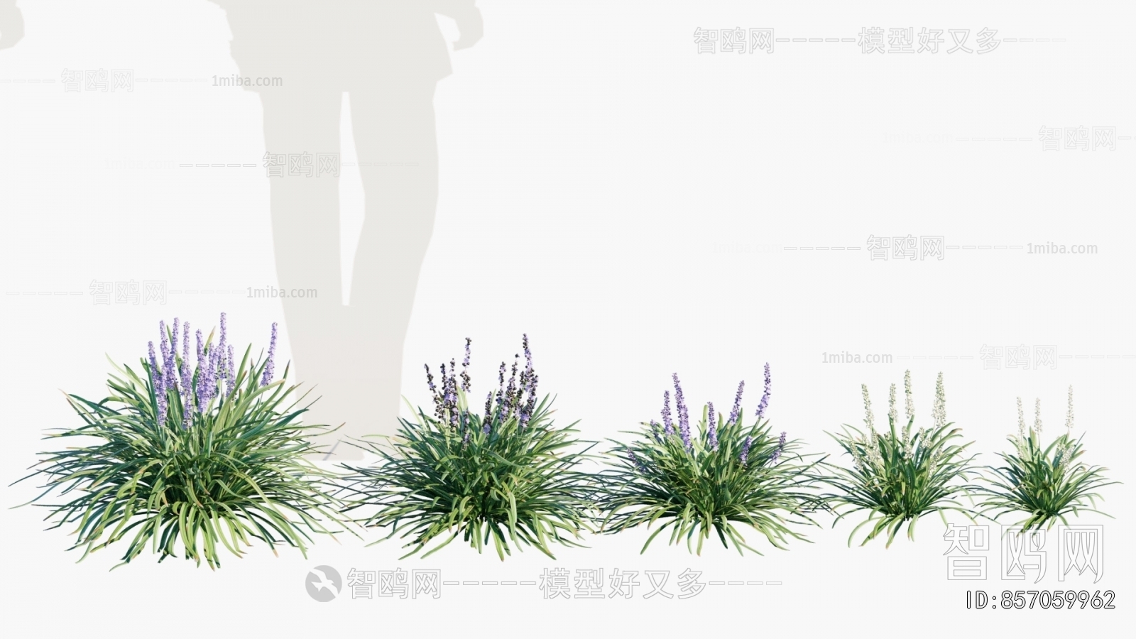 Modern Flowers And Grass