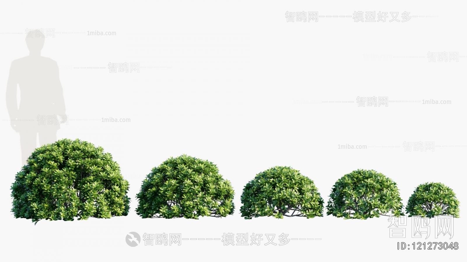 Modern Shrubbery