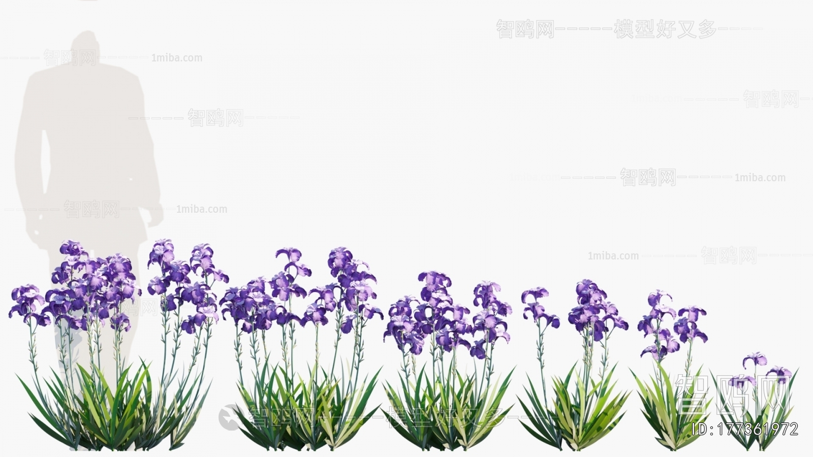 Modern Flowers And Grass