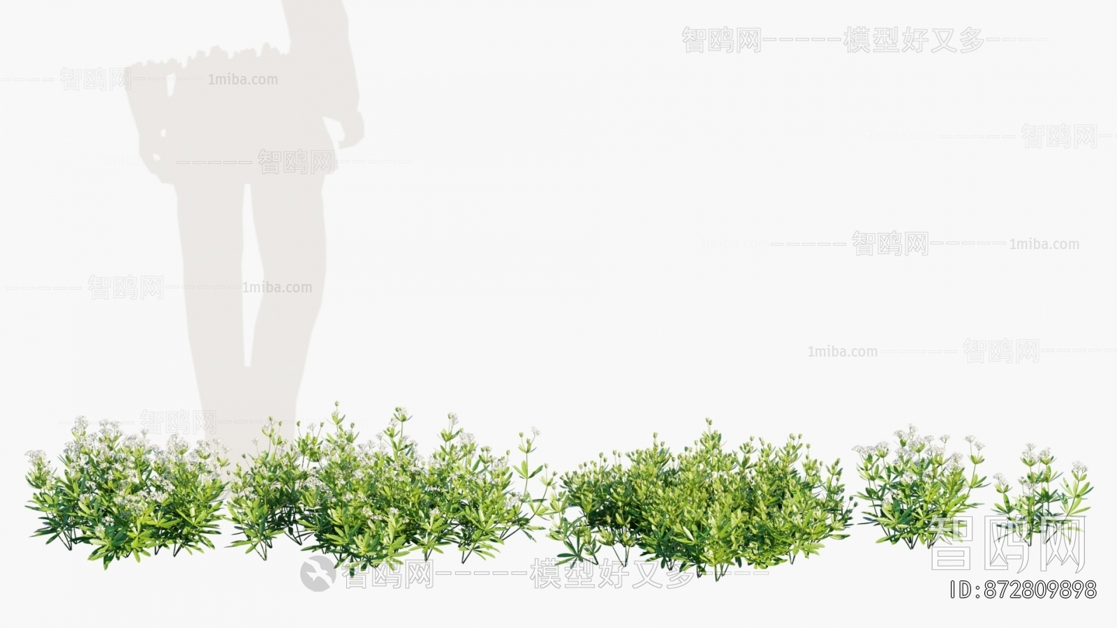 Modern Flowers And Grass