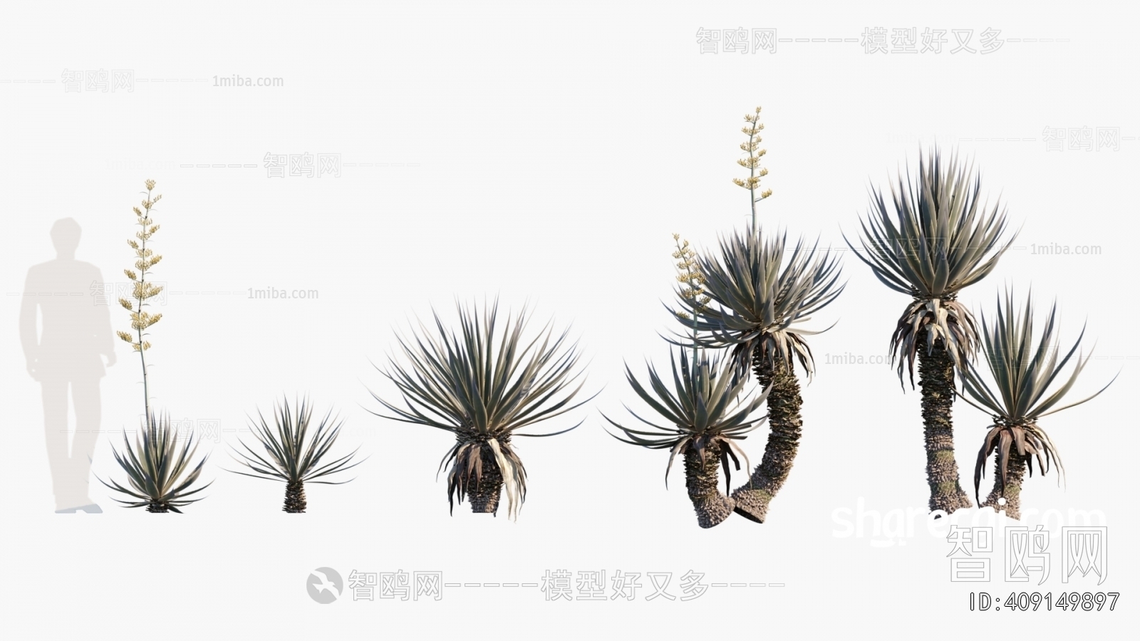 Modern Plant