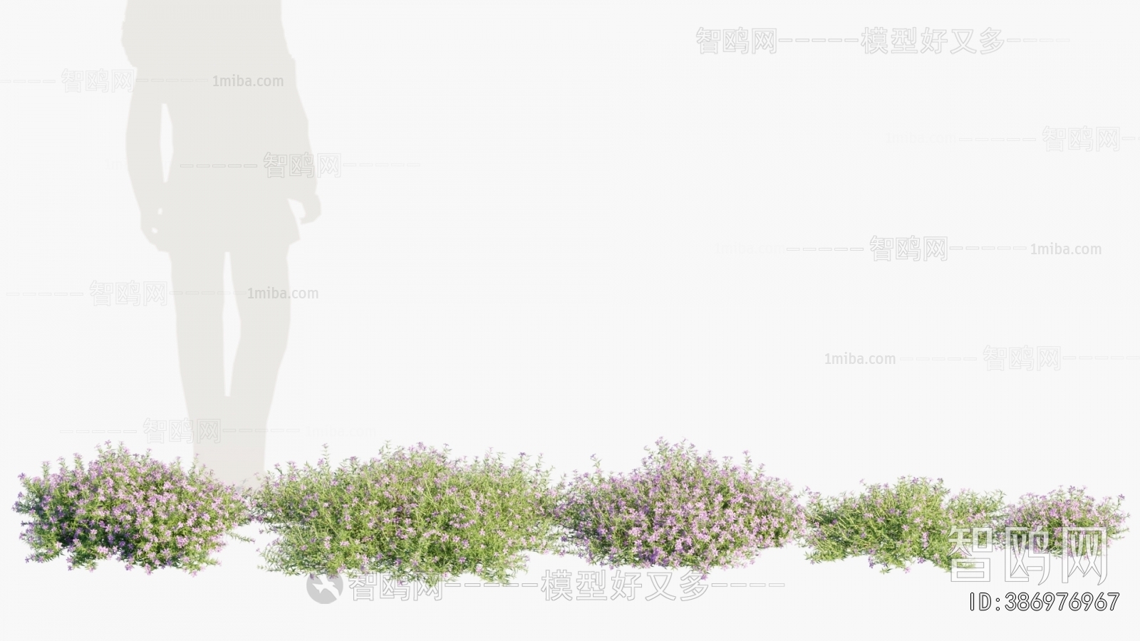 Modern Flowers And Grass