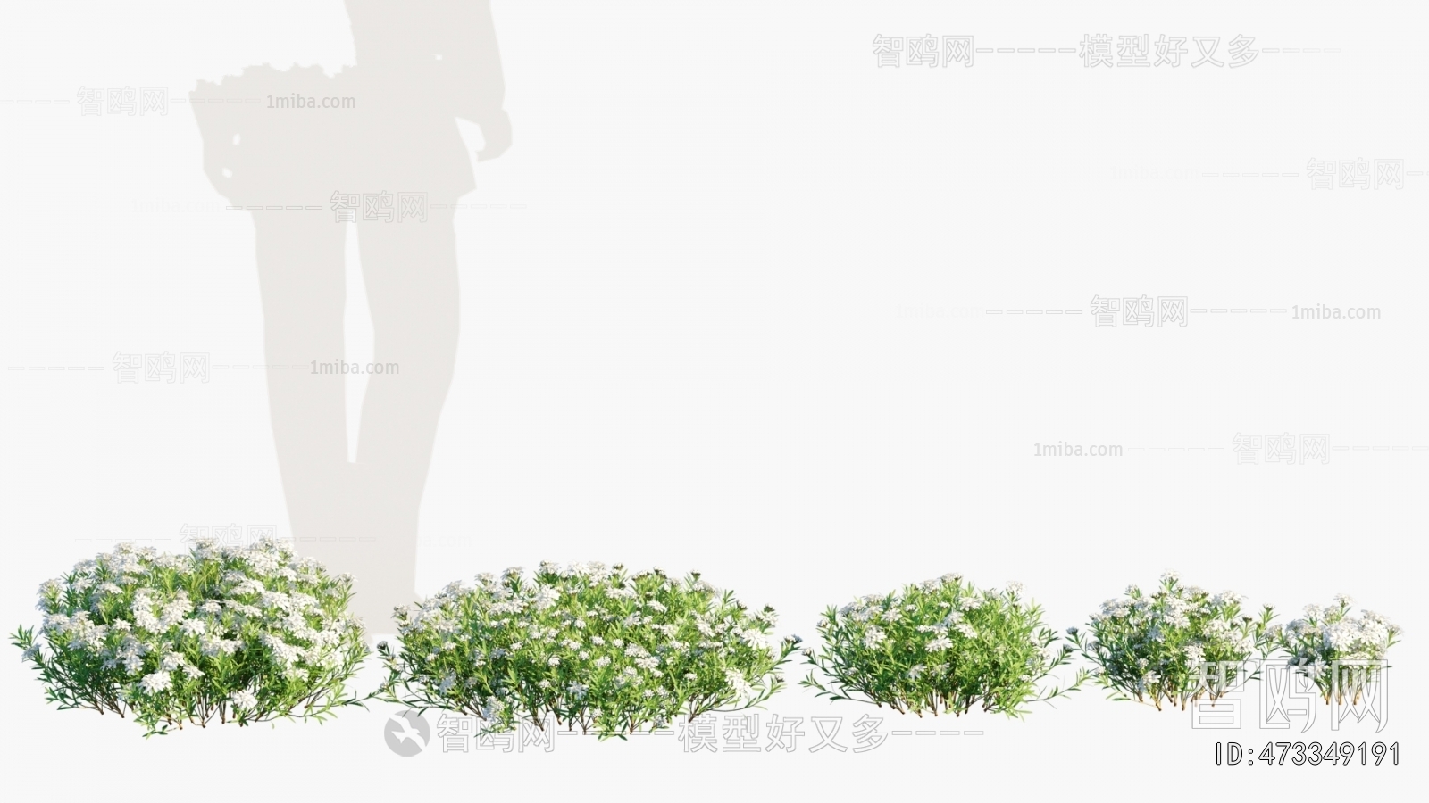 Modern Flowers And Grass