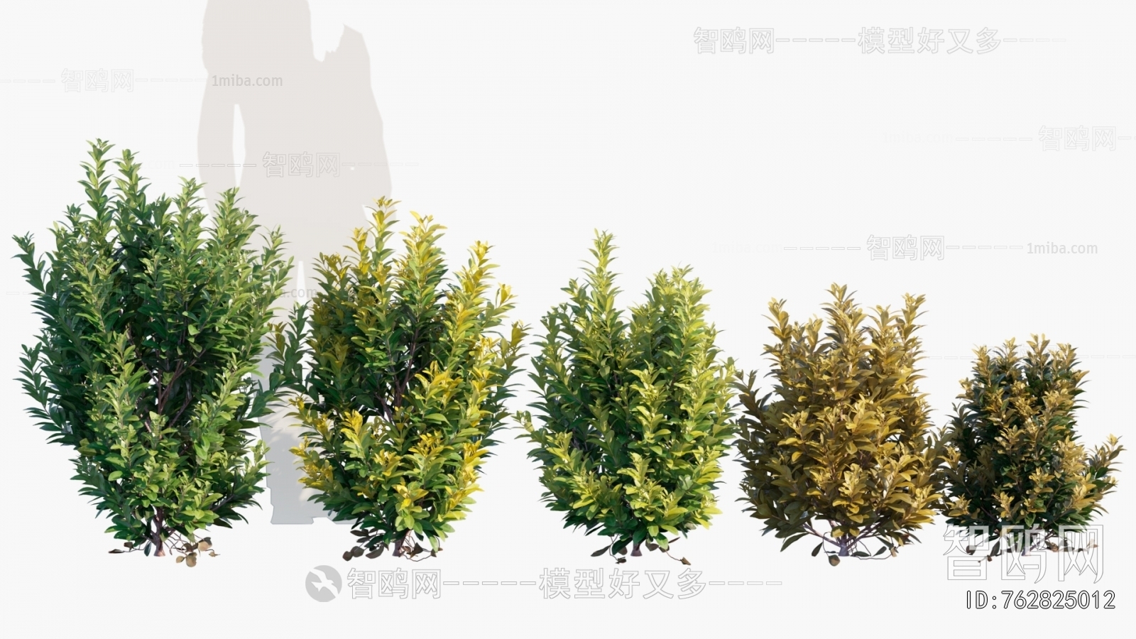 Modern Flowers And Grass