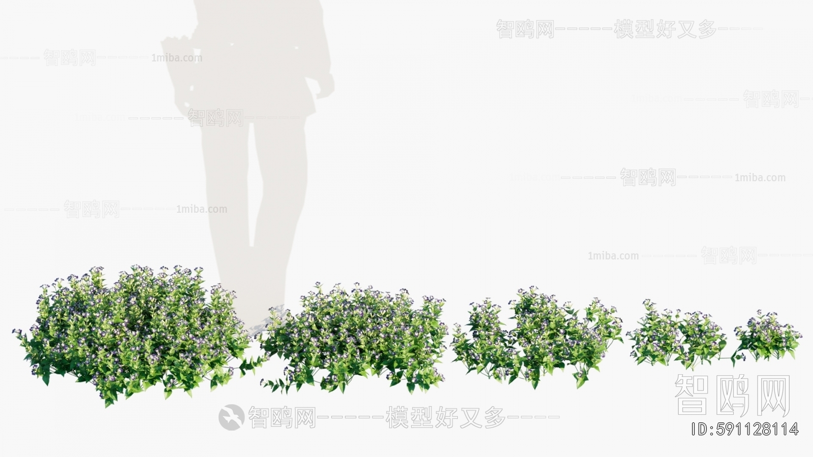 Modern Flowers And Grass