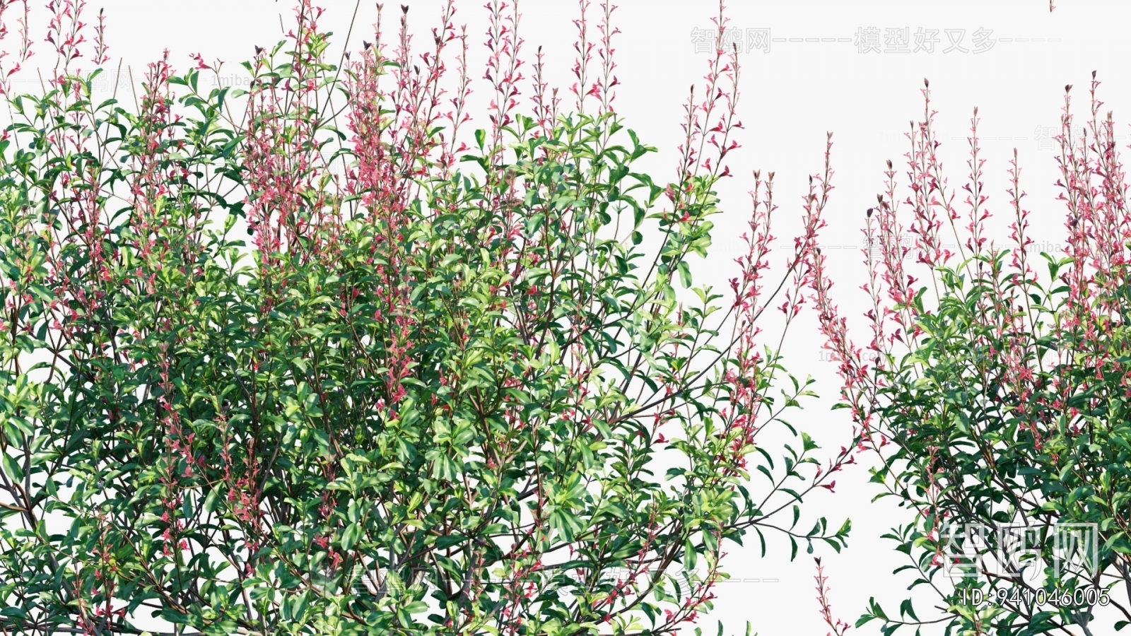 Modern Flowers And Grass