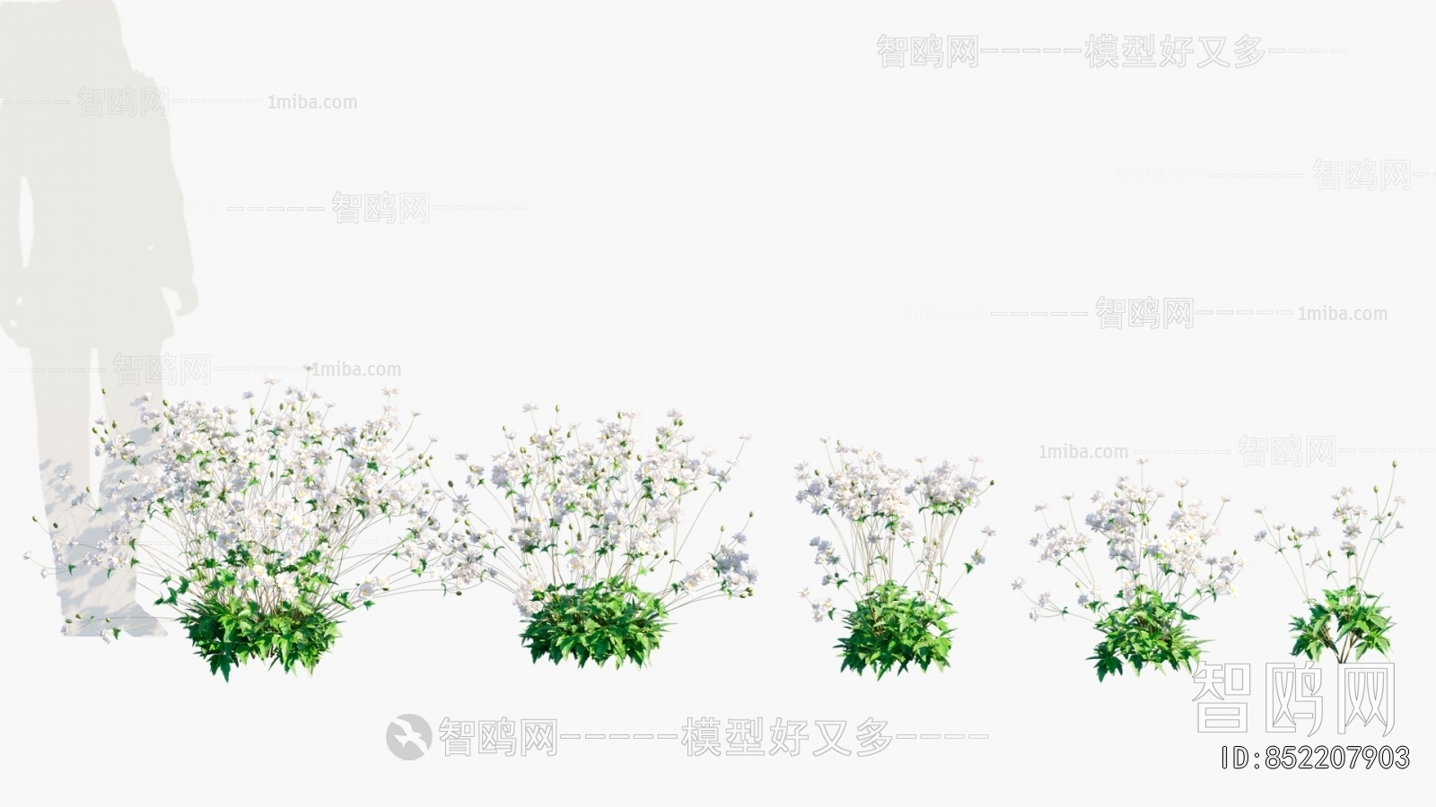 Modern Flowers And Grass