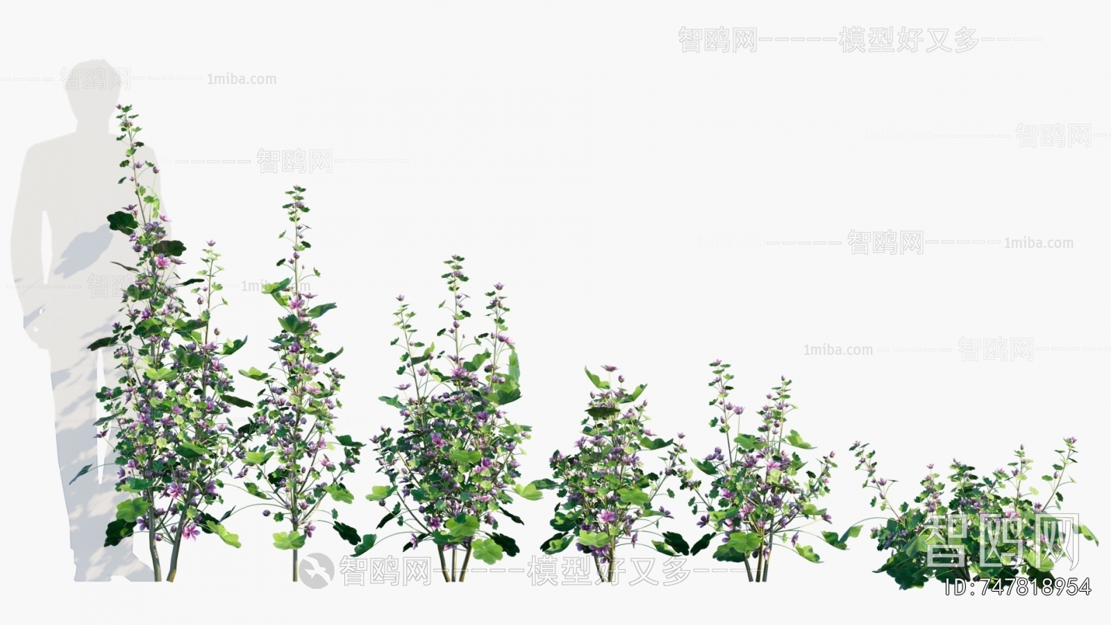 Modern Flowers And Grass