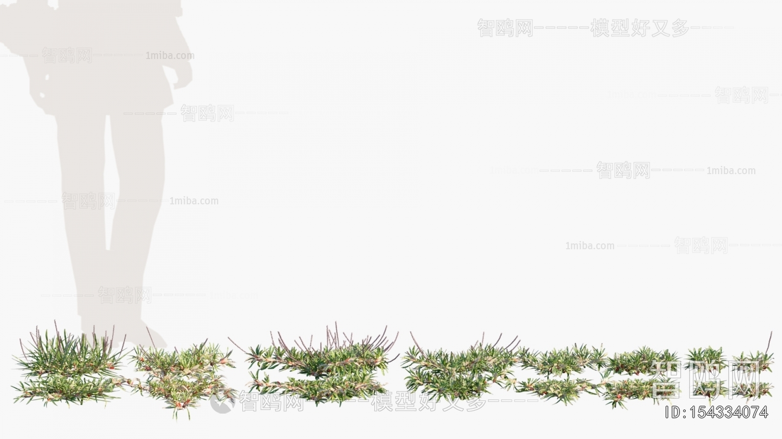 Modern The Grass