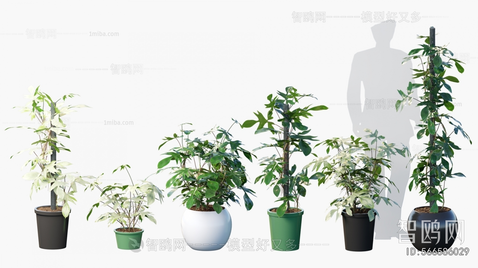 Modern Ground Green Plant Potted Plants