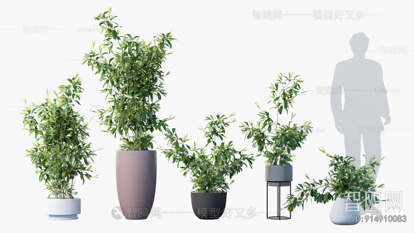 Modern Ground Green Plant Potted Plants