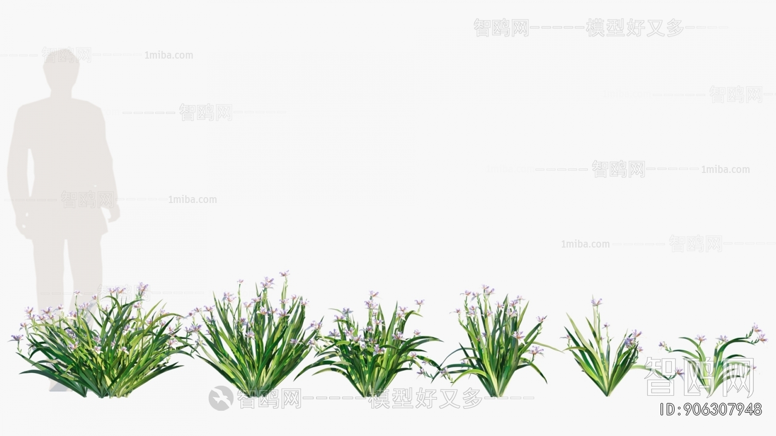 Modern Flowers And Grass