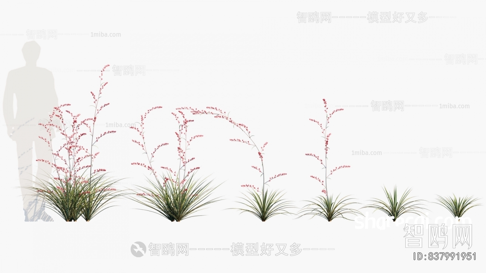 Modern Flowers And Grass