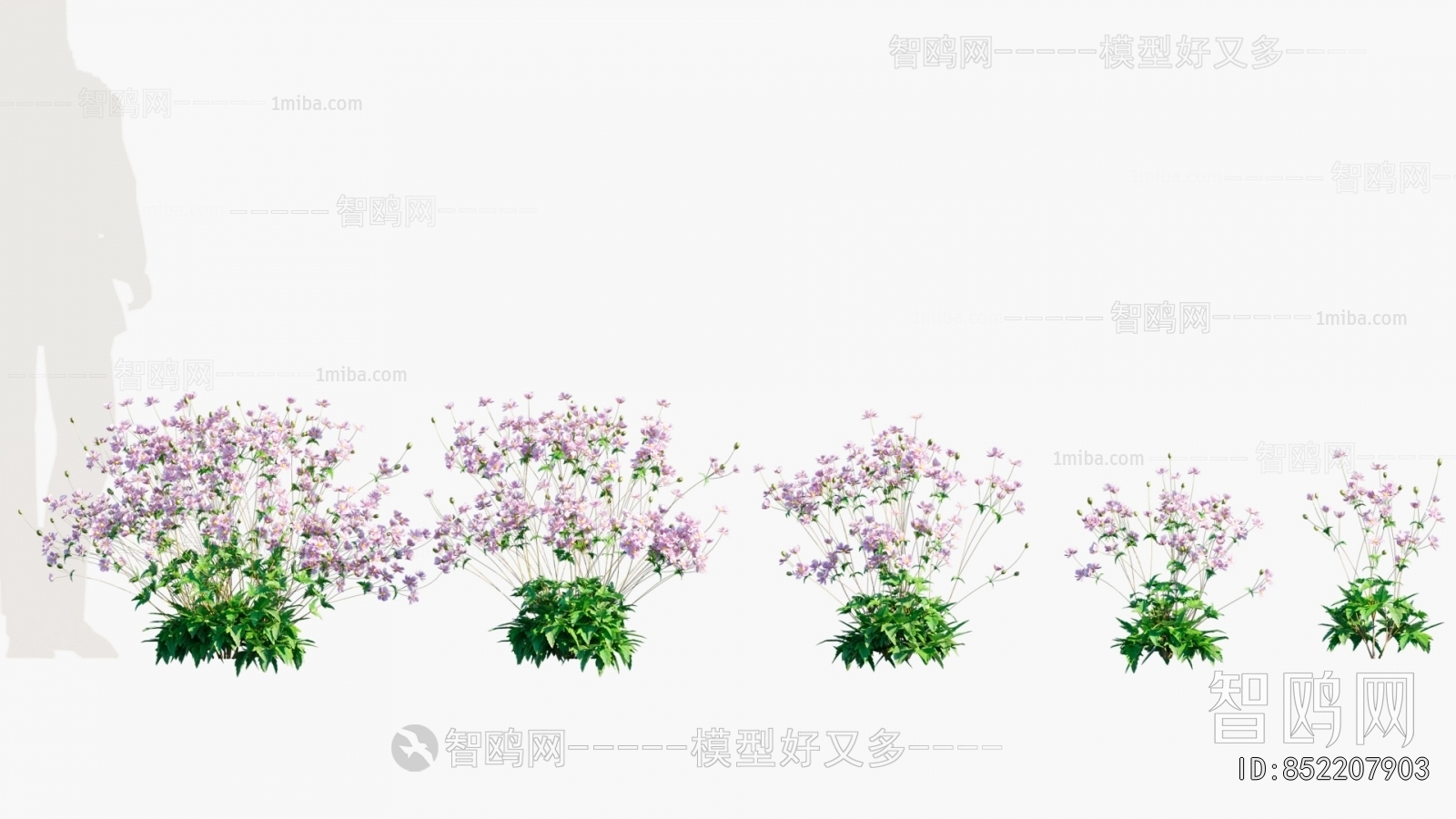 Modern Flowers And Grass