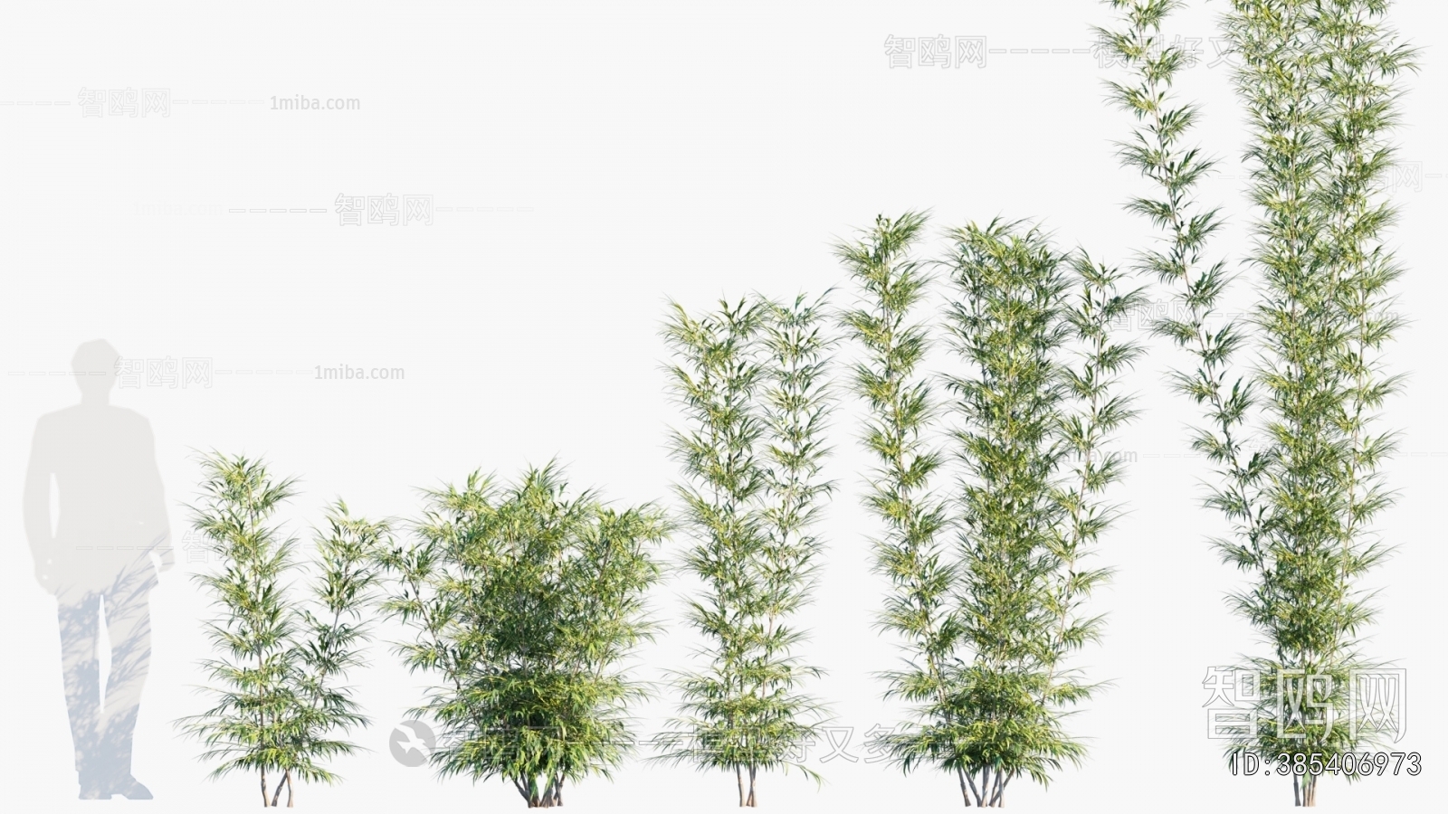 现代热带景观树组合
