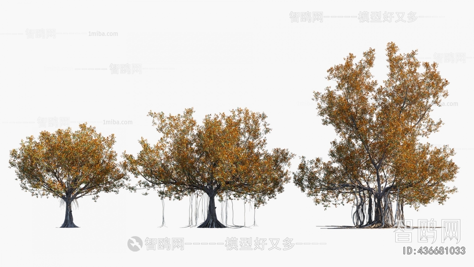 现代热带景观树组合