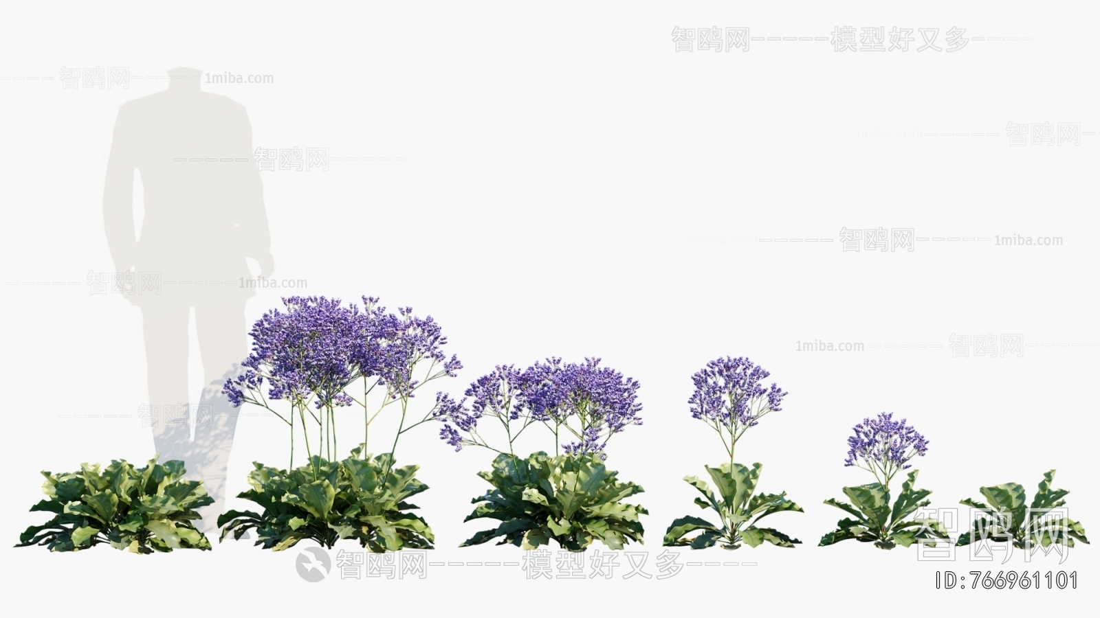 Modern Flowers And Grass