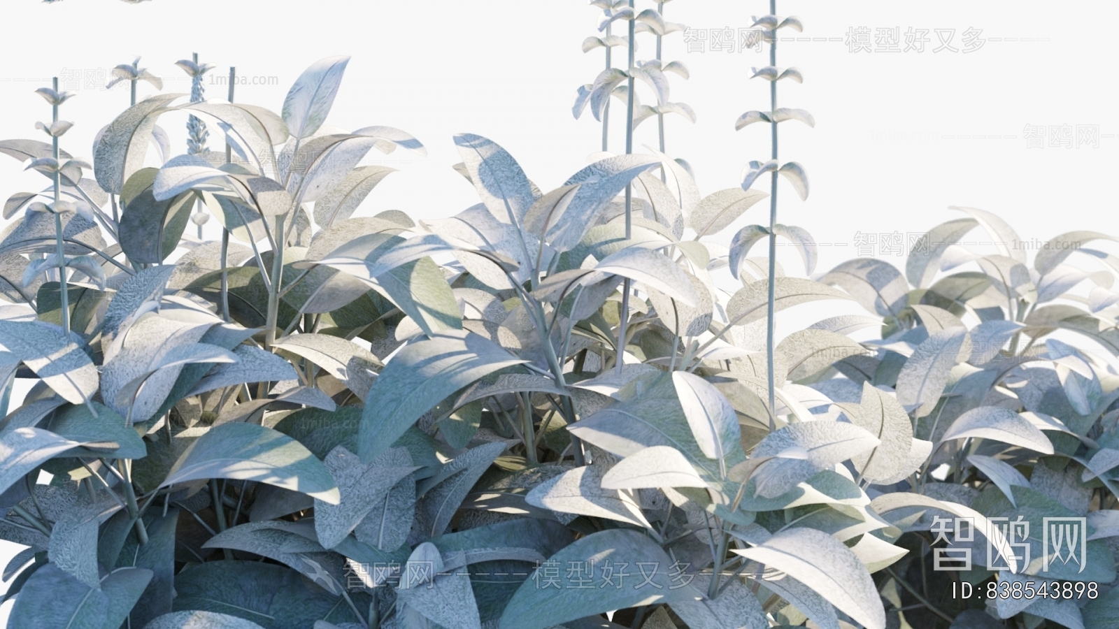 Modern Flowers And Grass