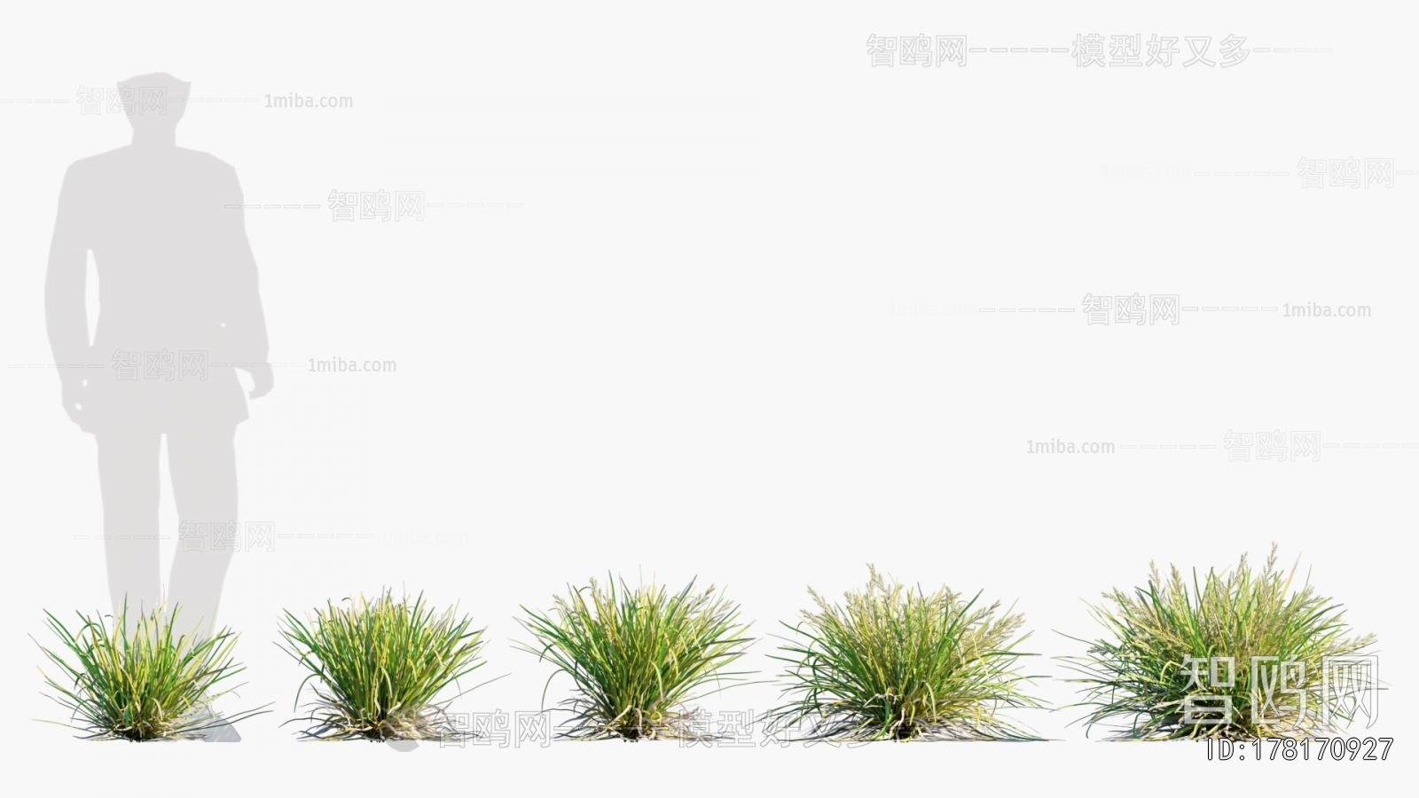 Modern The Grass
