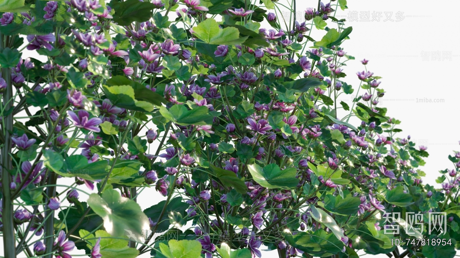 Modern Flowers And Grass